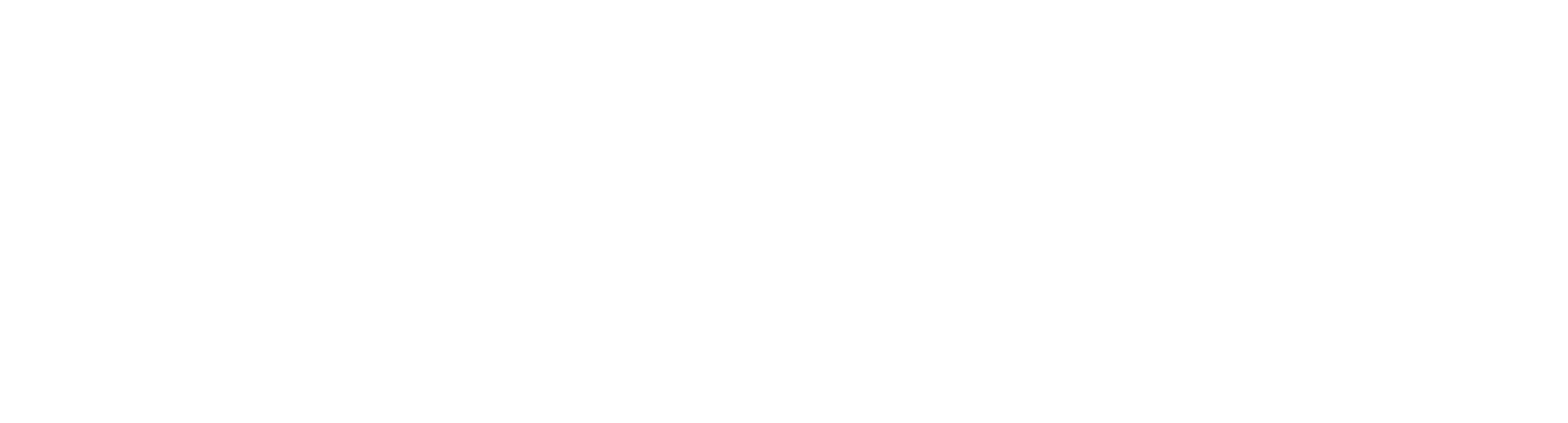 nk iron plast final logo 27white